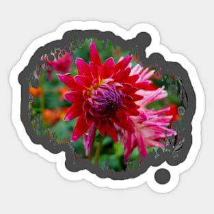 Dahlia Flower Sticker